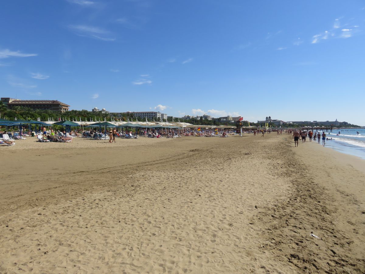 imagini hotel PALOMA OCEANA